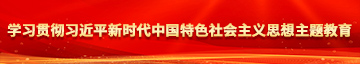 日逼逼激情学习贯彻习近平新时代中国特色社会主义思想主题教育